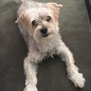 Meet your Posher, Cathey